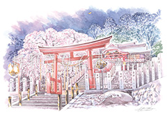 諏訪神社のしだれ桜／夜桜（小川）